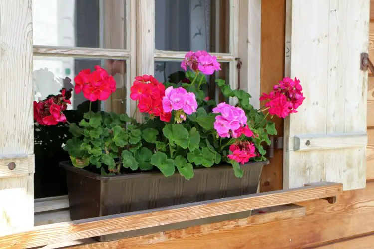 Cómo construir una alegre jardinera en la ventana