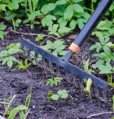 Aprende cómo mejorar el suelo de tu huerto o jardín