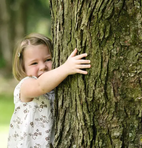 Razones por las que vivir cerca de los árboles es bueno para tu salud