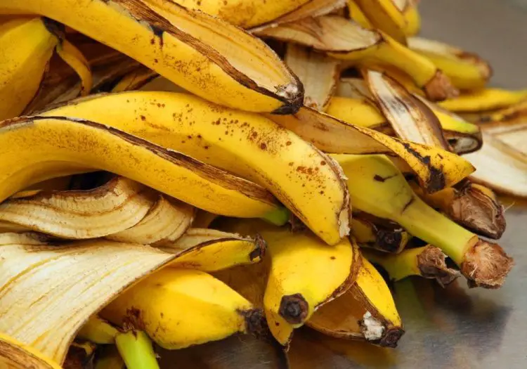 Fertilizante orgánico con cáscara de plátano o banana