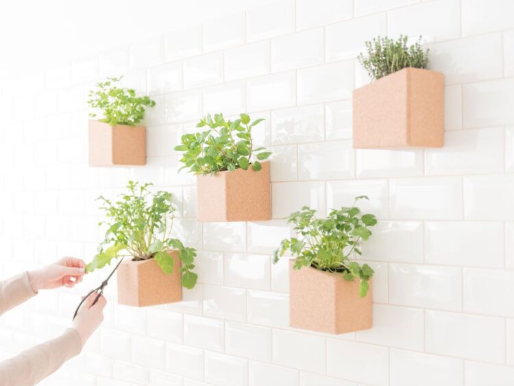 Decoración con plantas en pared
