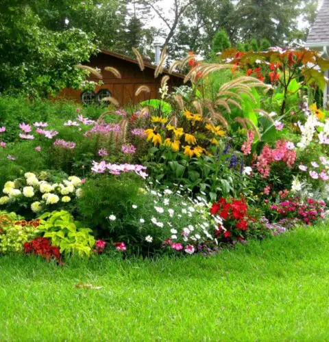 Trucos rápidos y fáciles para un disfrutar de un hermoso jardín