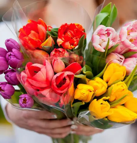 Las más bonitas flores para regalar a una mujer en su cumpleaños