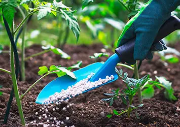 Cómo aplicar fertilizante en el jardín