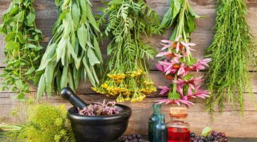 Beneficios de las plantas medicinales