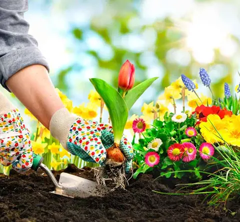 Los beneficios para la salud de la jardinería