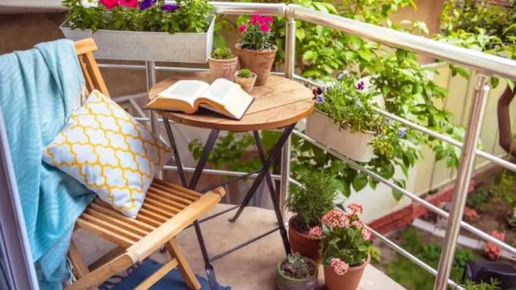 Qué frutas y verduras puedes plantar en tu balcón o terraza