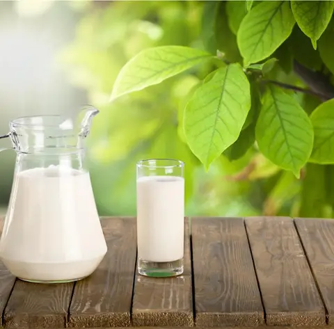 ¿Cómo usar la leche en el jardín? Conoce los usos principales