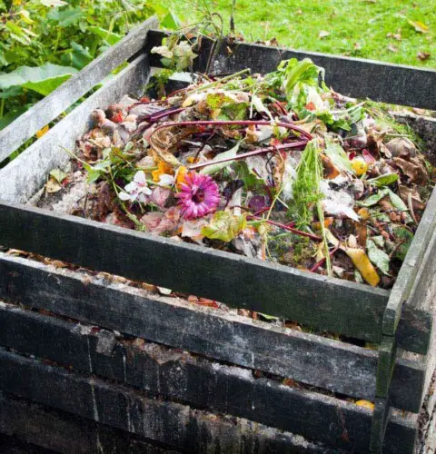 ¿Cómo se hace un compost paso a paso?