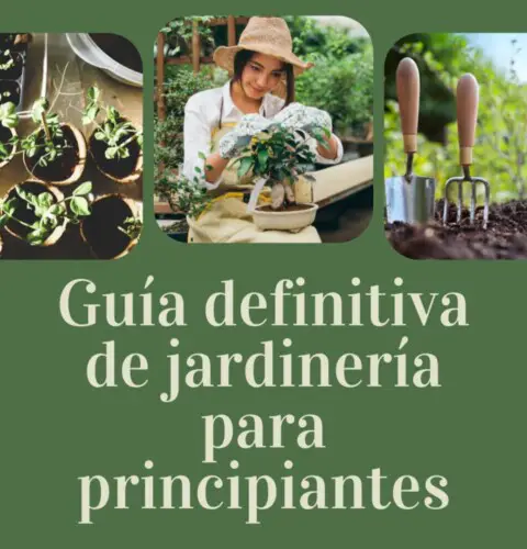 Guía definitiva de jardinería para principiantes: ¡comienza tu aventura verde!
