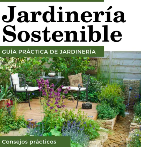 Jardinería sostenible: consejos para cuidar el medio ambiente mientras cultivas tu jardín