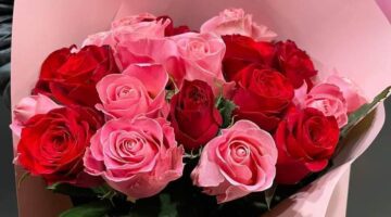 Qué flores regalar para el Día de los Enamorados