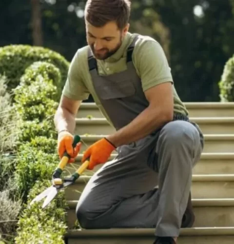 Cómo iniciar un jardín ecológico con consejos de jardinería sostenible
