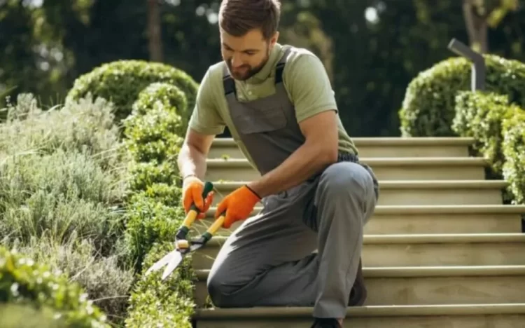 Cómo iniciar un jardín ecológico con consejos de jardinería sostenible